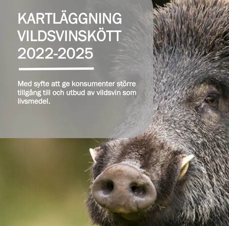 Kartläggning vildsvinskött 22-25