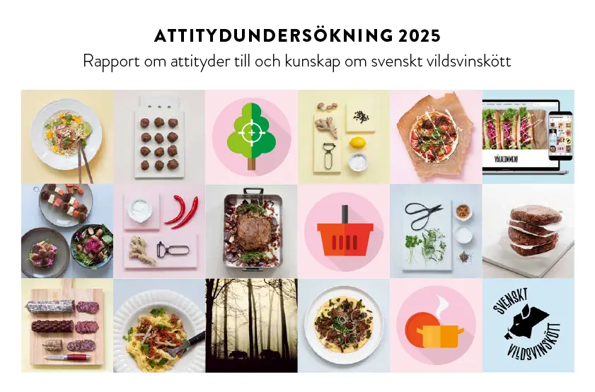 Attitydundersökning 2025